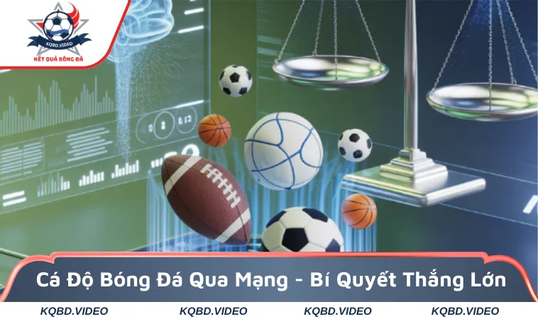 Cá độ bóng đá qua mạng