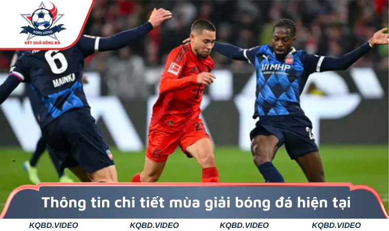 Thông tin chi tiết mùa giải bóng đá hiện tại