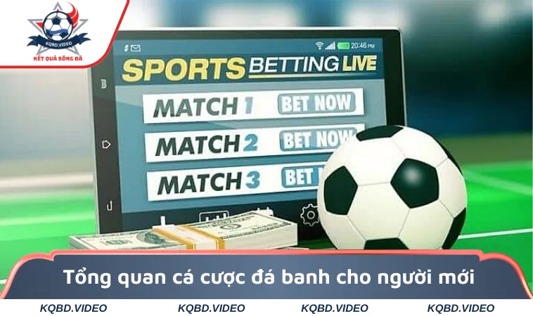 Tổng quan cá cược đá banh cho người mới