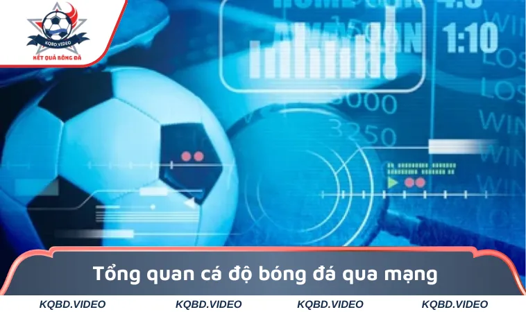 Tổng quan cá độ bóng đá qua mạng dành cho người mới