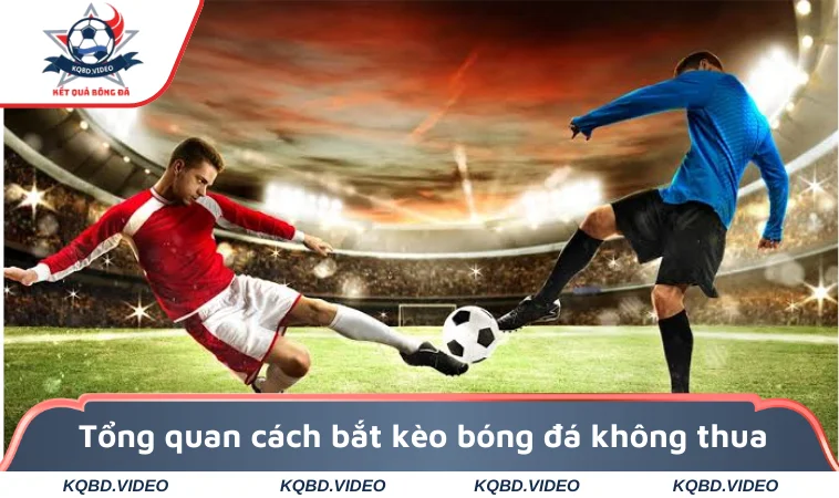 Cách Bắt Kèo Bóng Đá Không Thua Từ Các Chuyên Gia 1 Tổng quan cách bắt kèo bóng đá không thua chuyên nghiệp